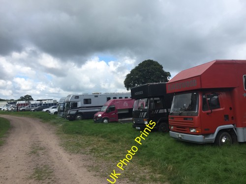 Photo 6x4 betley show horse - 6x4, show: