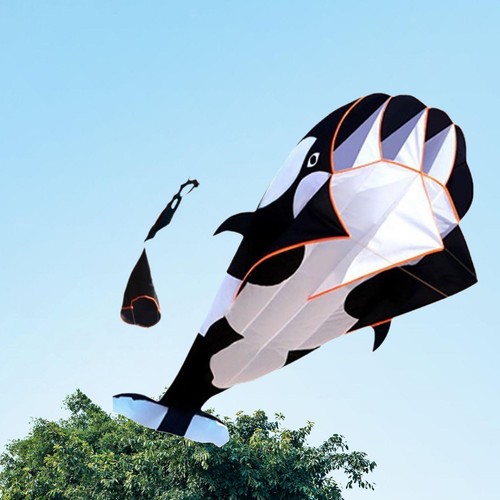 Kite large dolphin - kite, fly