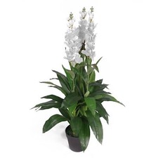 Artificial Cymbidium Orchid Plant Extra Large White Flowers 100cm