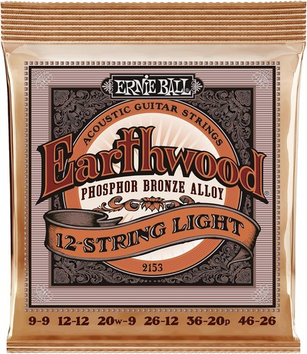 Ernie ball earthwood - ernie,