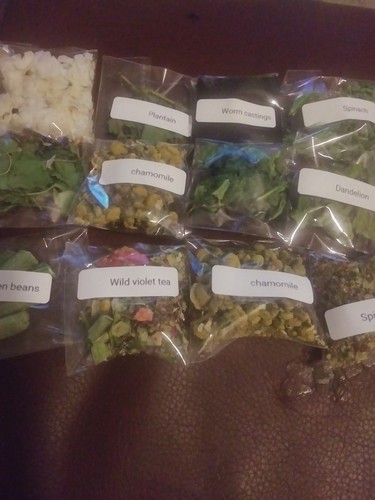 Land hermit crab food - land,