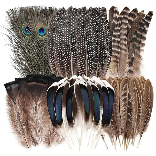 48pcs assorted mixed - 40/48pcs,