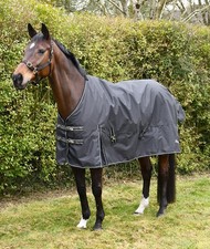 Rhinegold Nevada Lightweight 50g Horse Turnout Rug, Std Neck, 4'0"-7'3"