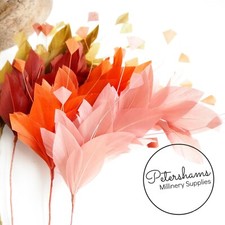 Stripped Diamond Coque & Goose