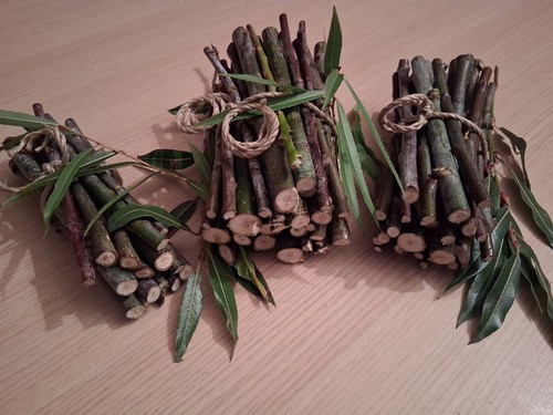 English willow sticks - sticks., fresh