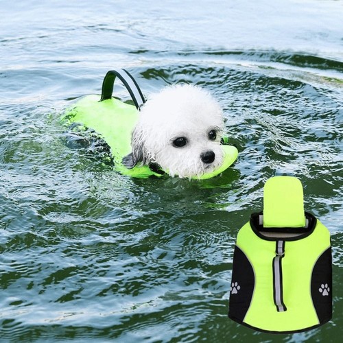Dog life jacket - life,