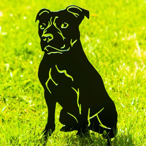 Staffordshire terrier garden - staffordshire,