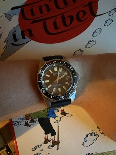 Seiko diver watch automatic - diver,