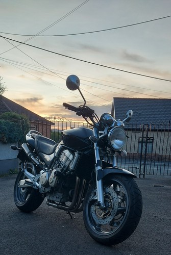 Honda hornet 900 danmoto - honda,