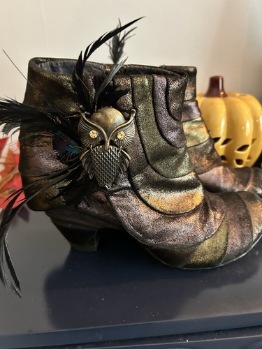 Beautiful irregular choice owl - choice,