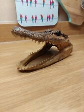 Taxidermy Alligater Head