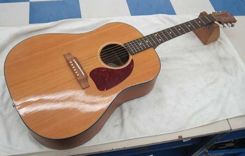 Gibson standard acoustic - gibson,