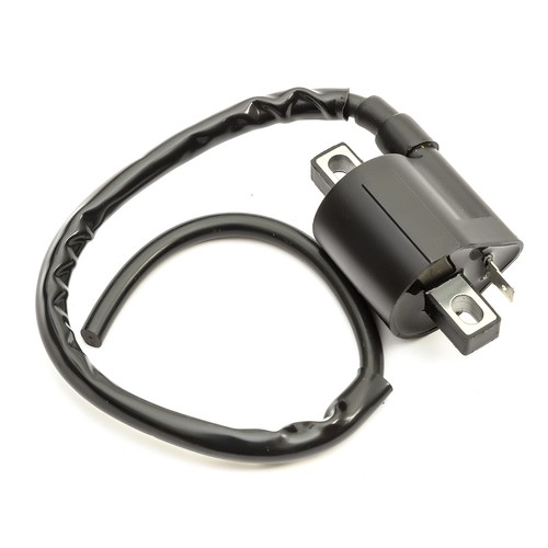 Ignition coil kazuma jaguar - ignition,