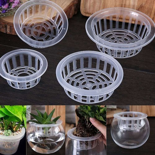 Long lasting plastic mesh - mesh, pot