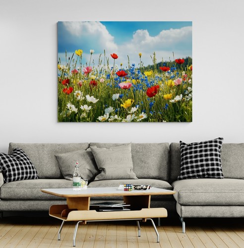 Wild flower meadow floral - flower,