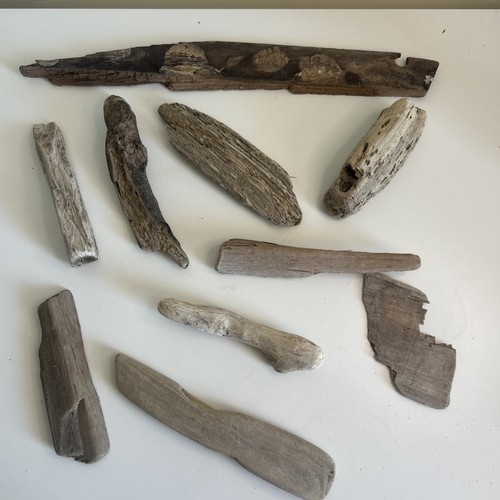 Driftwood mixed pieces - 10, –