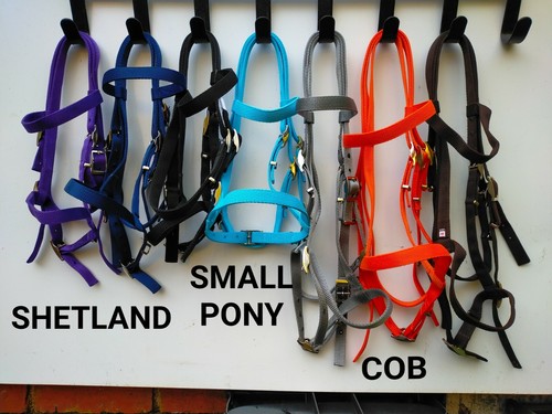 Bridle shetland small pony - shetland,,