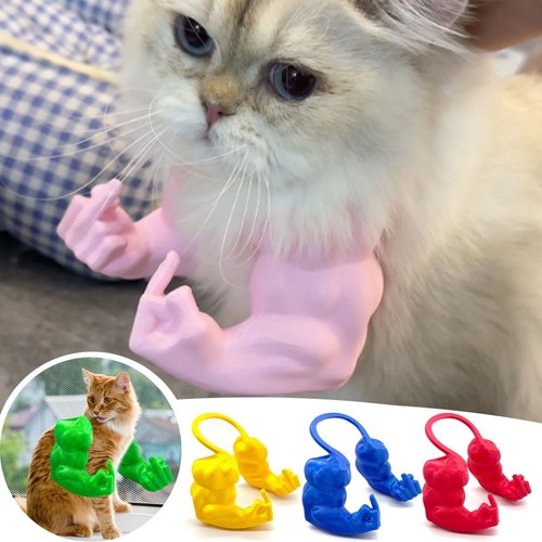 Role play printed - printed, cat
