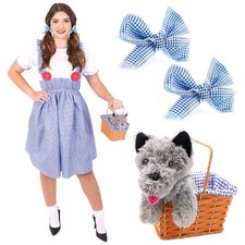 LADIES KANSAS GIRL COSTUME AND