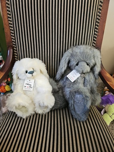 Kaycee bears bunny - of, 2