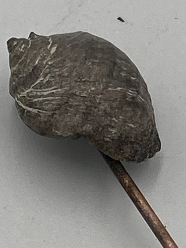 Antique vintage hat pin - antique/vintage, (257)