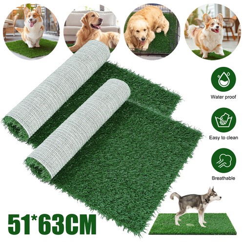 Artificial grass for - grass,