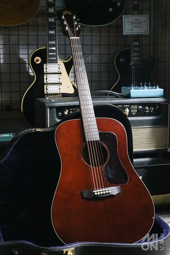 Guild d25m 1979 used acoustic - d25m,