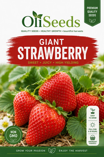 Giant strawberry seeds large - giant,