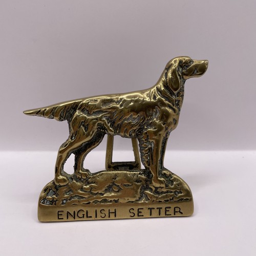 Vintage english setter - vintage, solid