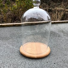 Glass Bell Jar Dome Bamboo