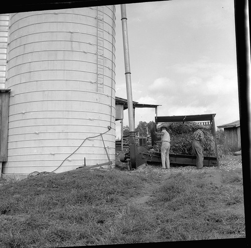 1960s photo negative - negative, of