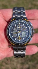 Citizen Skyhawk Blue Angels