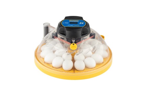 Brinsea maxi advance - brinsea, egg