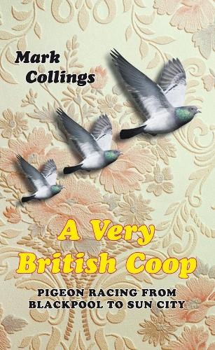 Very british coop pigeon - a,