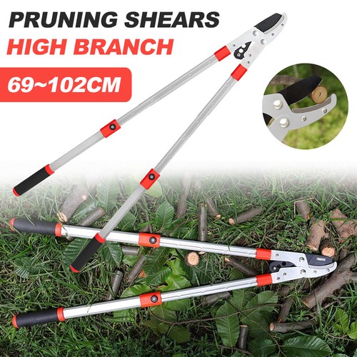 Telescopic tree loppers - telescopic, or