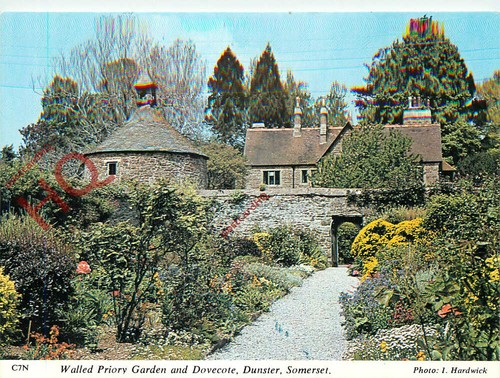 Picture postcard dunster - picture, postcard>>dunster