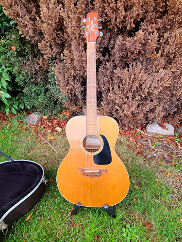 Takamine p1m electro acoustic - takamine,