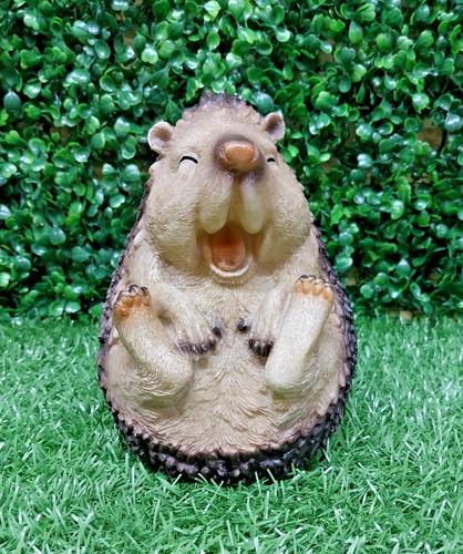 Hedgehog 5cm 12cm x - 12cm,