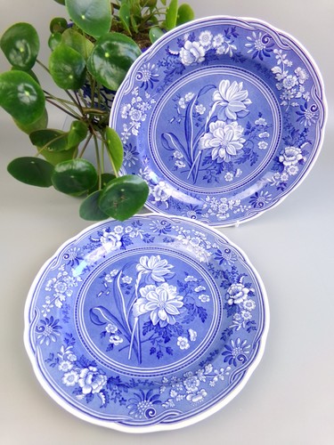 Spode botanical dinner plates - spode,