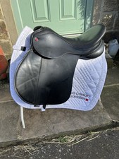 17 Inch Black Albion Style GP