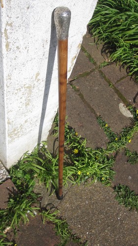 Malacca walking cane - malacca,