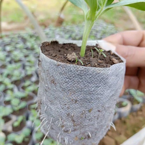 100pcs biodegradable plant - biodegradable,