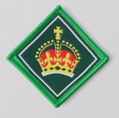 New present kings scout award - kings,