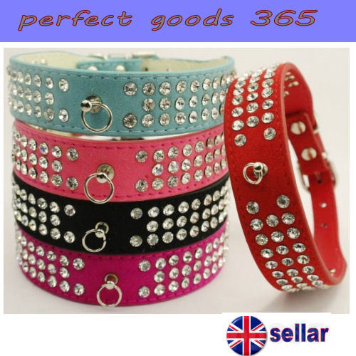 Dog collar suede - collar, row