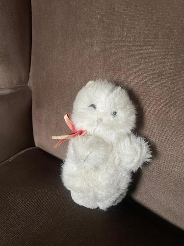 Small white bhs teddy - bhs,