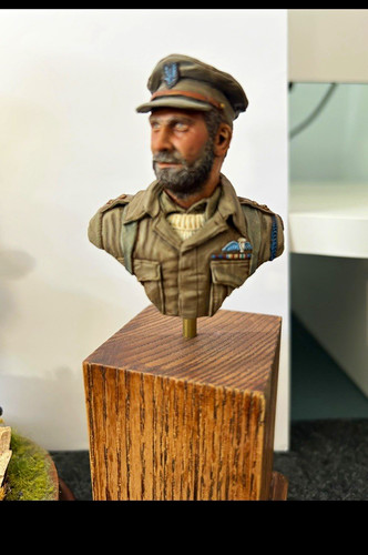 Painted military bust - painted,