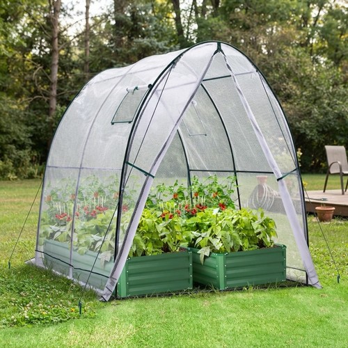 Polytunnel greenhouse - polytunnel,