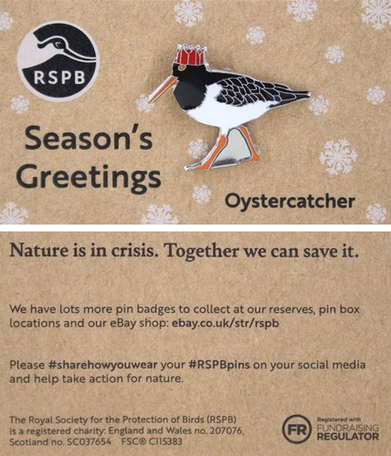 Rspb pin badge niic - pin,