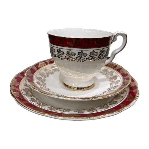 Royal stafford morning glory - ,