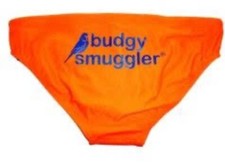 BUDGY SMUGGLER- ‘SUN BURNT